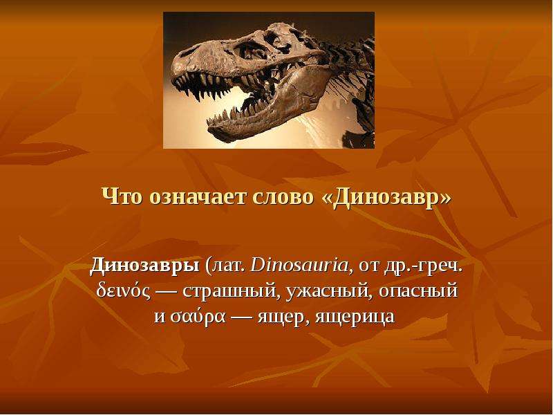 Слово динозавр означает страшный ящер. Что означает динозавр. Что означает термин динозавр. Что означает слово динозавр. Динозавр означает ужасный ящер.