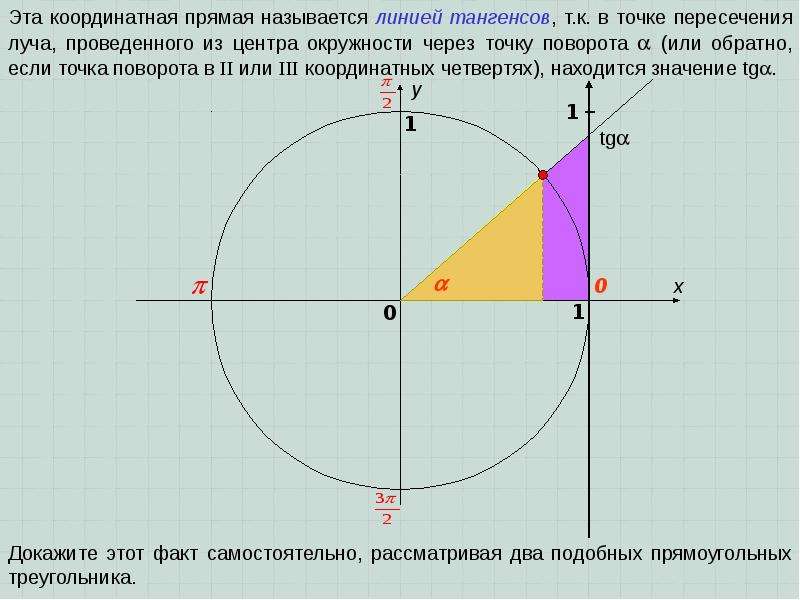 Определение синуса и косинуса и тангенса угла 10 класс презентация