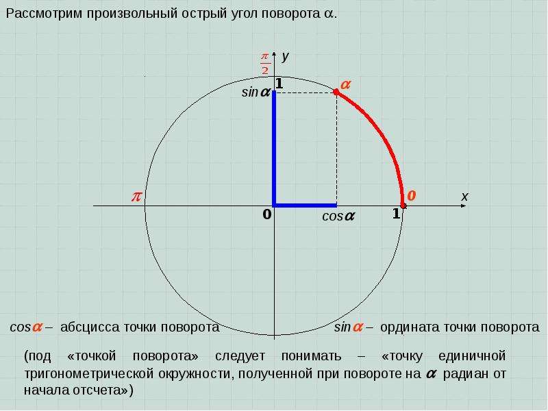 Определение синуса и косинуса и тангенса угла 10 класс презентация