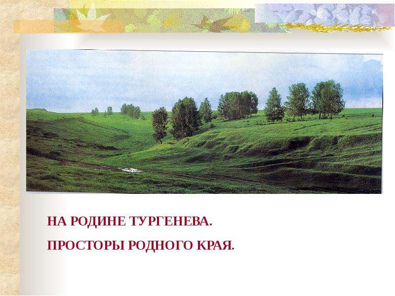 Пейзаж в произведениях тургенева. Тургенев о родине. Презентация на родине Тургенева. Родная природа Тургенева. Родные места Тургенева.