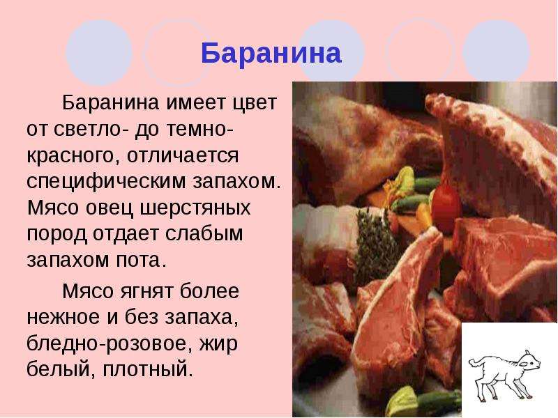 Проект мясо и мясные продукты по технологии