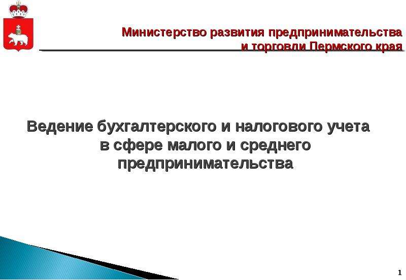 Мин развития. Презентация Министерства социального развития Пермского края.