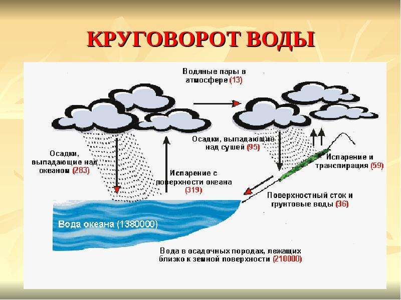 Презентация биосфера круговорот веществ в биосфере