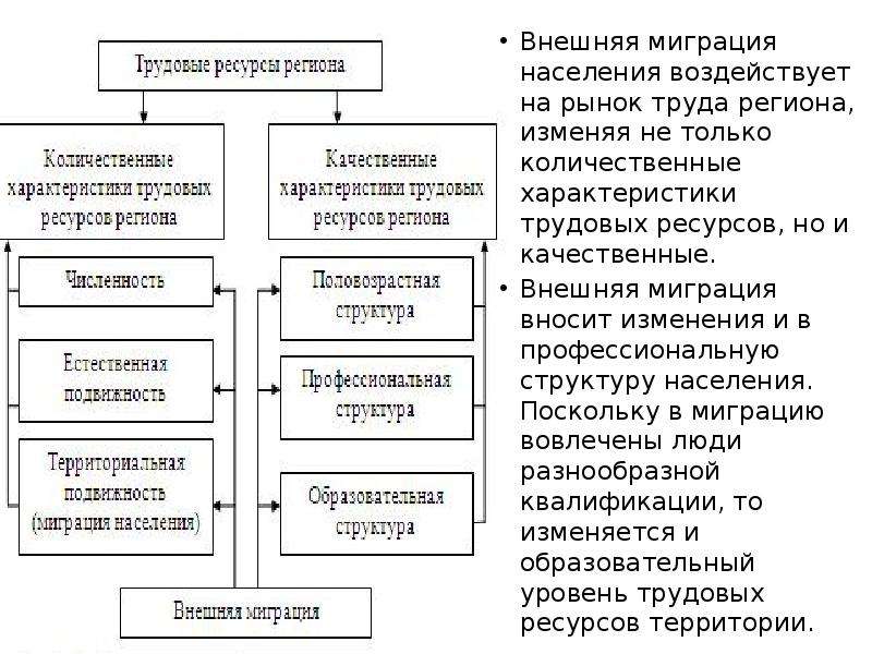 После изучения материала о миграциях составьте обобщающую схему виды