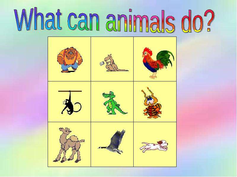 What can do. What can animals do. What can animals do 2 Grade. Картинки what can animals do. What can do animals 4 класс.