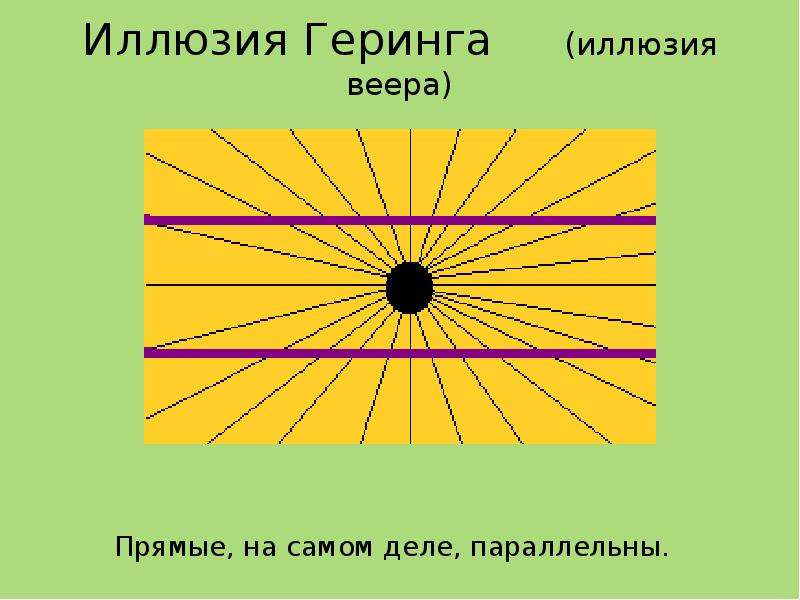 Иллюзии презентация 8 класс биология