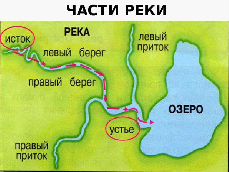 Части реки окружающий мир 1 класс. Река для презентации. Части реки. Части реки 4 класс. Части реки схема 4.