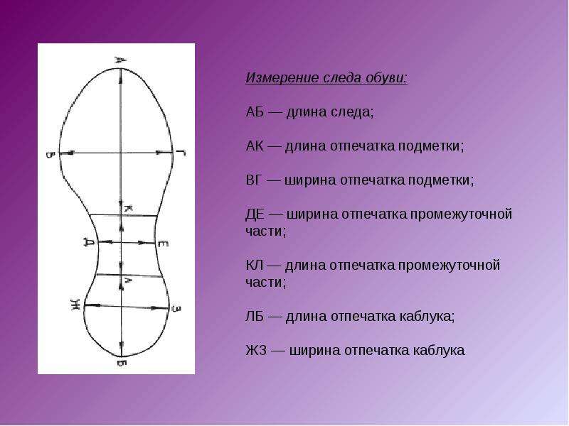 Обозначьте на рисунке элементы подошвенной части обуви и назовите их