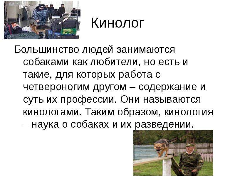 Презентация моя профессия кинолог