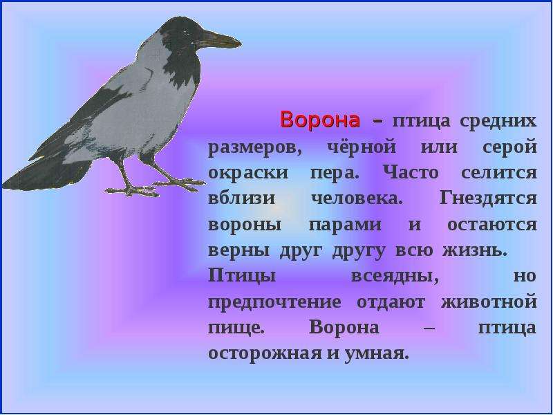 Презентация по теме ушинский ворон и сорока 1 класс школа россии