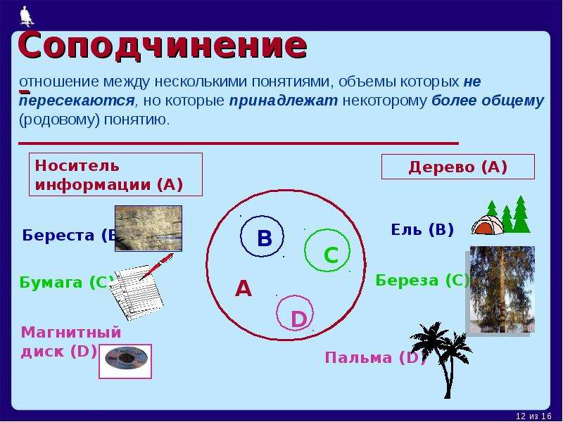 5 понятий. Соподчинение примеры Информатика. Отношение между несколькими понятиями. Пересекающиеся понятия и родовое понятие. Видовые пересекающиеся понятия.