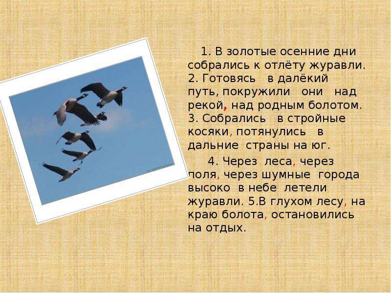 Собрались 3. В золотые осенние дни готовились к отлёту. В осенние дни готовились к отлету Журавли. В золотые осенние дни собирались к отлету Журавли. Золотые осенние дни.