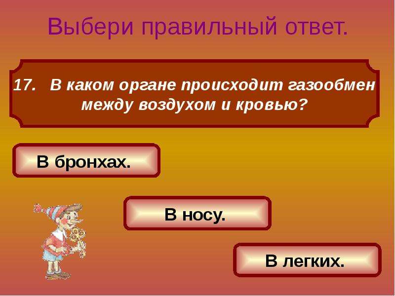 3 вариант правильно. В каком органе происходит газообмен между воздухом и кровью. Газообмен между воздухом и кровью происходит в с ответами. В каком органе происходит обмен газов. В каком органе происходит газообмен между воздухом и кровью 3 класс.