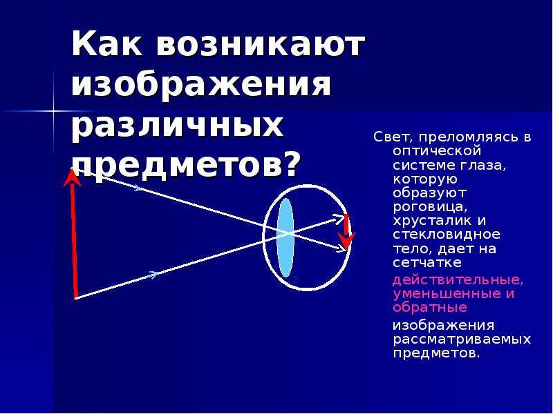 Презентация по физике 8 класс глаз как оптическая система