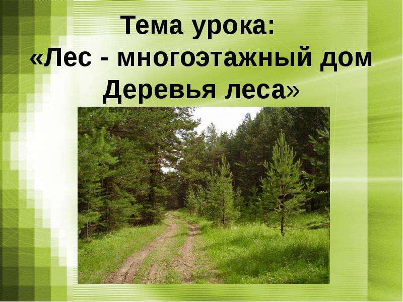 Презентация лес 2 класс. Лес многоэтажный дом. Тема урока лес. Лес многоэтажный дом презентация. Лес многоэтажный дом 2 класс.