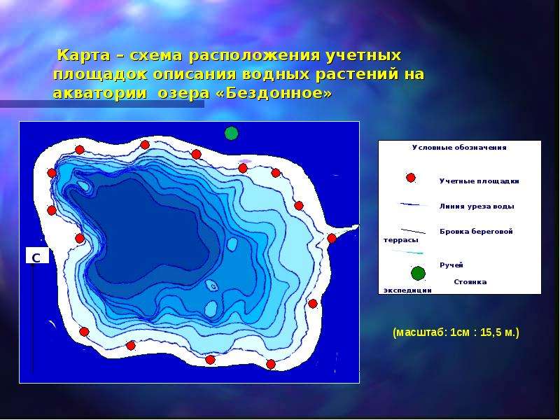 Озеро бездонное карта. Строение озера. Схема озера. Бездонное озеро схема. Акватория озера это.