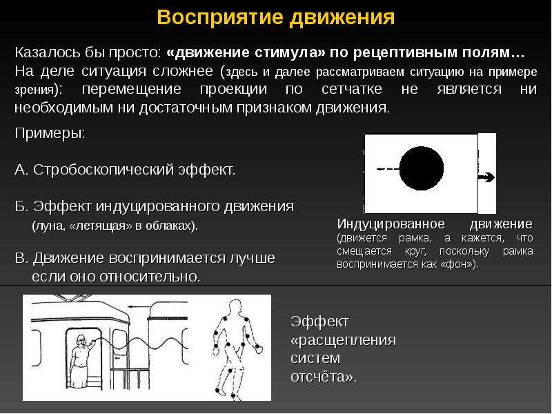 Презентация по теме восприятие