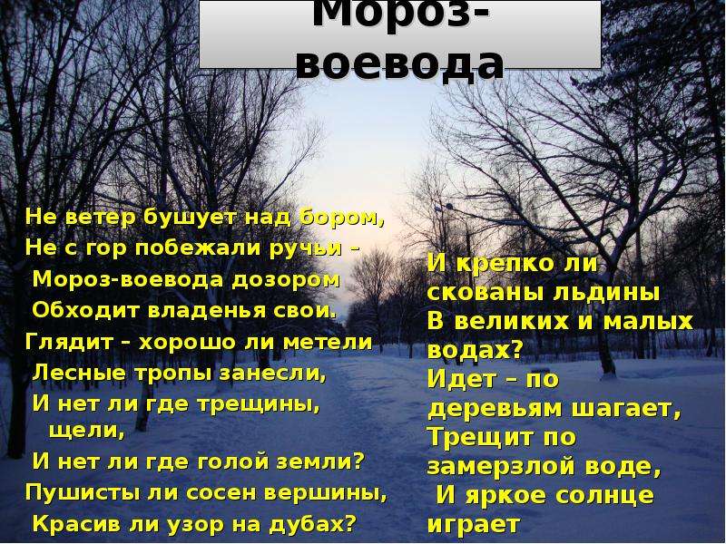 Не ветер над бором. Стих н Некрасова про Мороза воеводу. Некрасов не ветер бушует. Некрасов Мороз Воевода стихотворение. Стих не ветер бушует над бором.