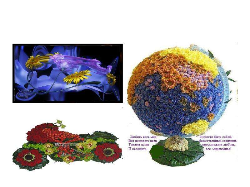 Презентация мир цветов. Описание концепции Планета цветов. Голенищева о. "мир цветов".