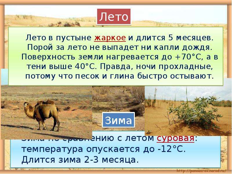 Сколько в пустыне. Лето в пустыне длится. Продолжительность лета и зимы в пустыне. Продолжительность теплого периода в пустынях и полупустынях. Продолжительность теплого периода в пустынях России.