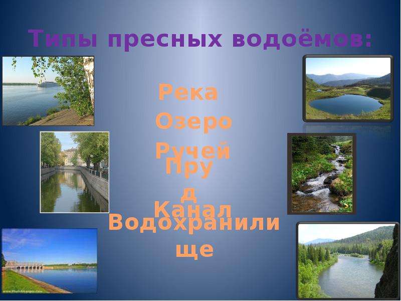 4 класс жизнь в пресных водах презентация