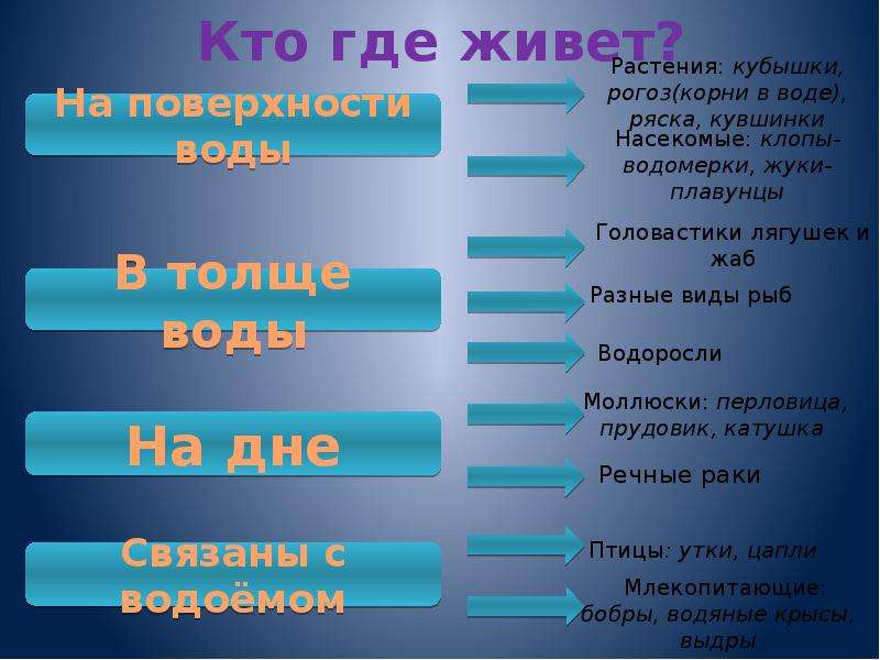 Окружающий мир 4 жизнь в пресных водах. Пресные и соленые водоемы окружающий мир 2 класс. Водоемы России 4 класс окружающий мир. 4 Томный труд жизнь пресных вод. Жизнь в пресных Водах 4 класс окружающий мир тест.