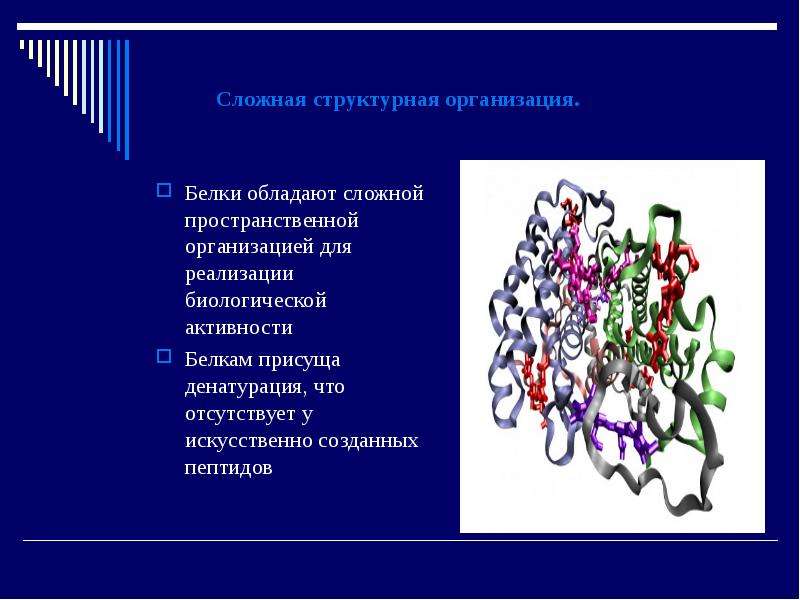 Белки в составе живого организма. Структура белков биохимия. Белок строение биохимия. Строение белка в организме человека.