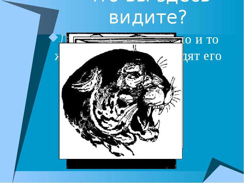 Здесь отображается. Что вы здесь видите. Что вы здесь видите картинки. Что вы тут видите. Что ты здесь видишь.