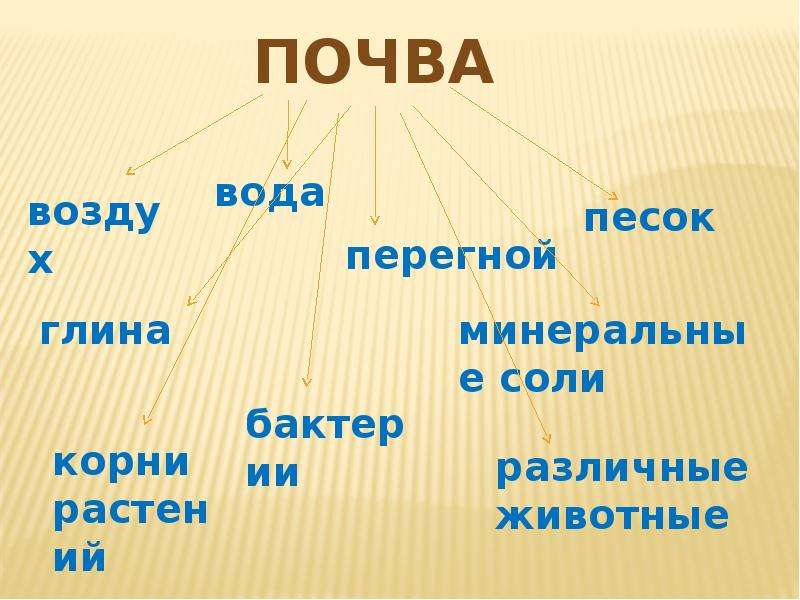 Что не входит в состав почвы. Состав почвы 4 класс. Песок + глина + вода + воздух + перегной + соли + микробы. Что такое минеральная соль - это перегной или вода. Состав почвы 4 класс окружающий мир.