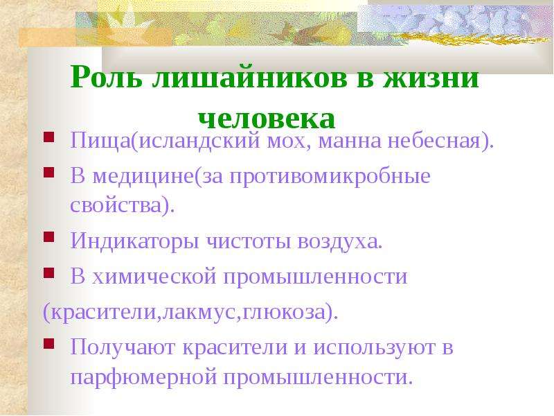 Составьте план ответа на вопрос какова роль лишайников в природе в жизни человека