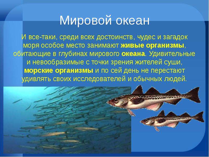 Презентация живые организмы океанов и морей