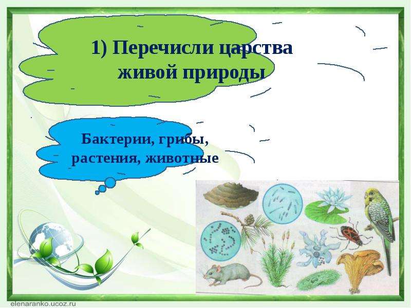 Царство живой природы 3. Перечисли царства живой природы. Презентация царство природы 3 класс. Проект четыре царства живой природы 3 класс. Царства живой природы 3 класс.