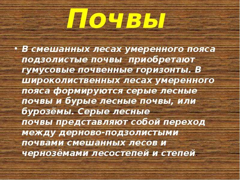 Типы почв характерны для смешанных лесов