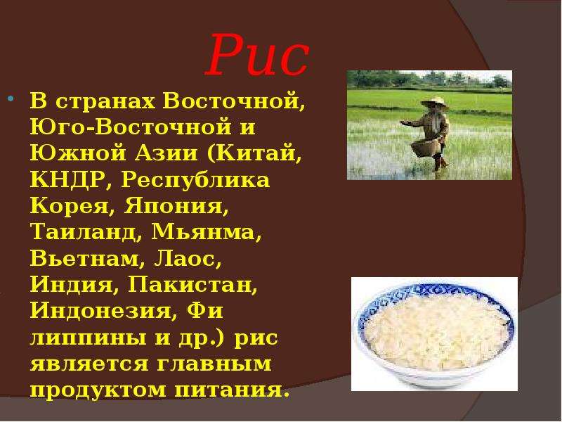 3 страны рис. Рис в Южной и Юго Восточной Азии. Рис Азия страны. Рис в Южной Азии. Главная продовольственная культура стран Азии.