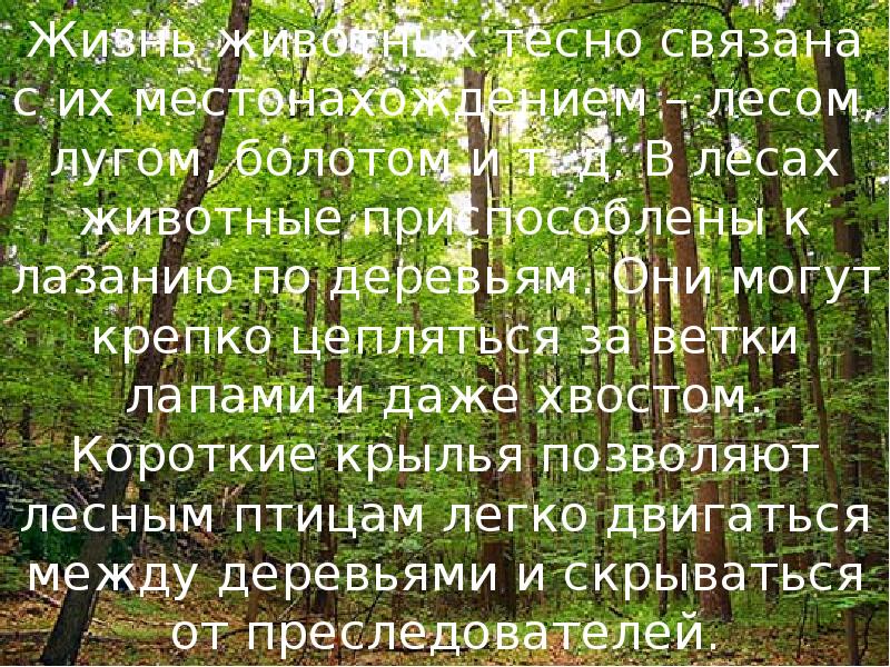 Закономерности распространения живых организмов на земле 6 класс география презентация