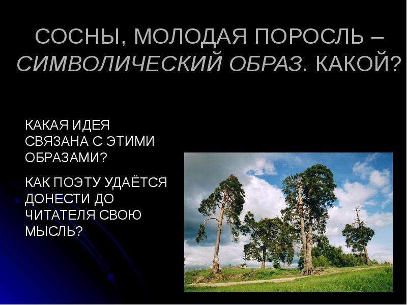 Пушкин вновь я. Тип лирики стихотворения вновь я посетил. Система образов в стихотворении конкретика символичность.