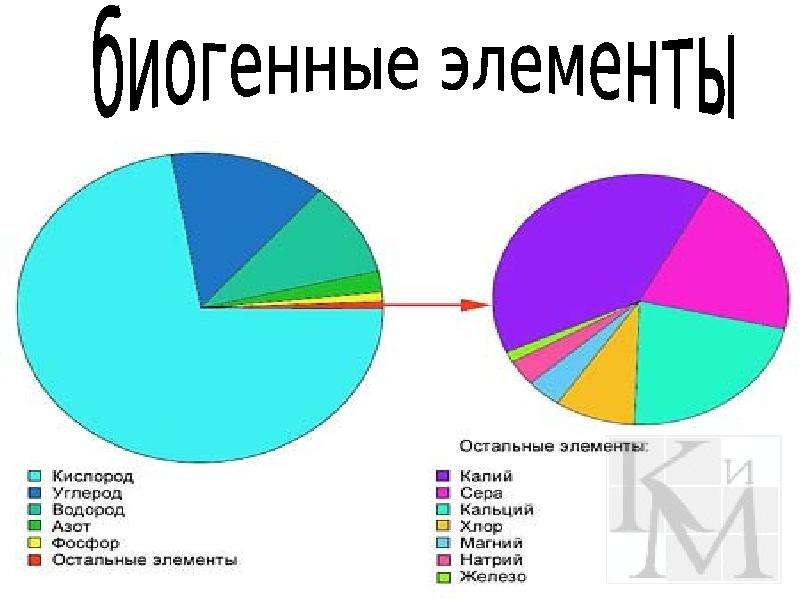 Биогенные элементы. Основные биогенные элементы. Биогенные химические элементы. Важнейшие биогенные элементы.