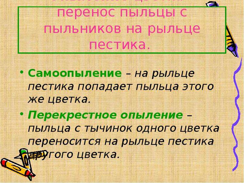 Перенос пыльцы. Перенос по цвету. Заполните пропуски в тексте пыльца попав на пестика вскоре. При опылении пыльца попадает на. Опыление лексическое значение.