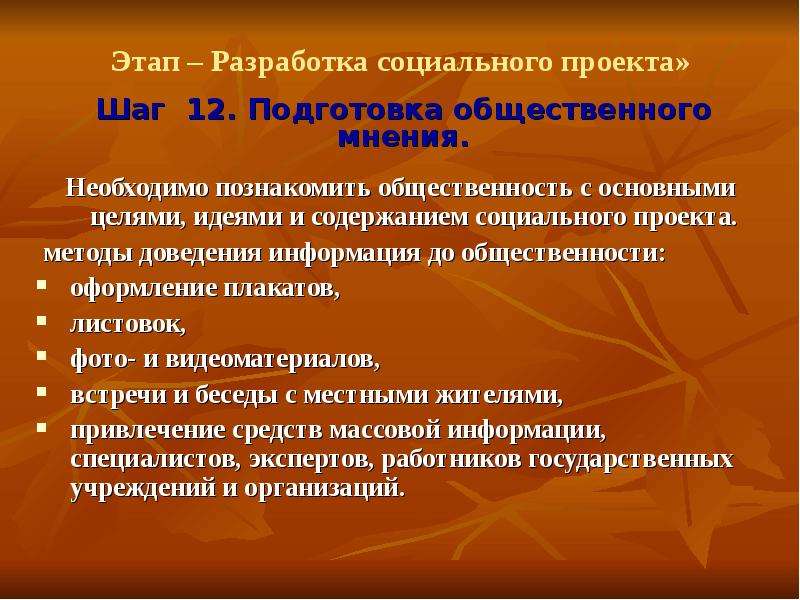 Разработанный социально творческий проект программу утверждает