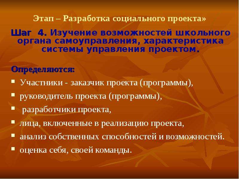 Определились участники. Разработка социального проекта. Описание разработки социального проекта. Анализ собственных возможностей. Программа действий проекта.