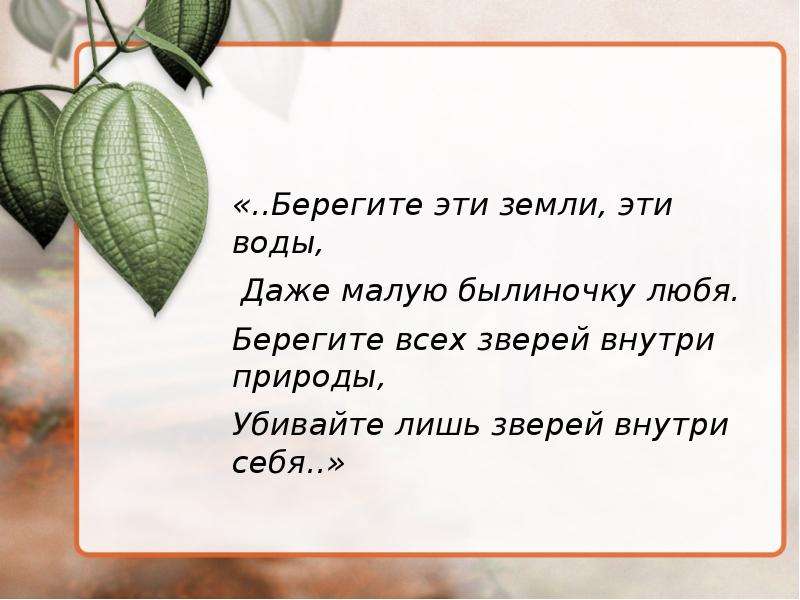 Мало даже. Берегите эти земли эти воды даже малую былиночку любя. Берегите эту землю. Берегите эти земли эти воды Евтушенко. Берегите эти земли эти воды даже.