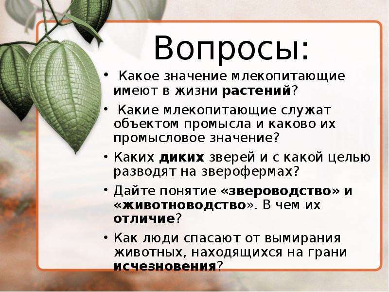 Роль млекопитающих в природе и жизни человека план конспект