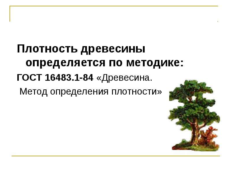 Высокое дерево определить род. Основные средства деревья. Методы определения плотности древесины. Плотность древесины. Верба плотность древесины.