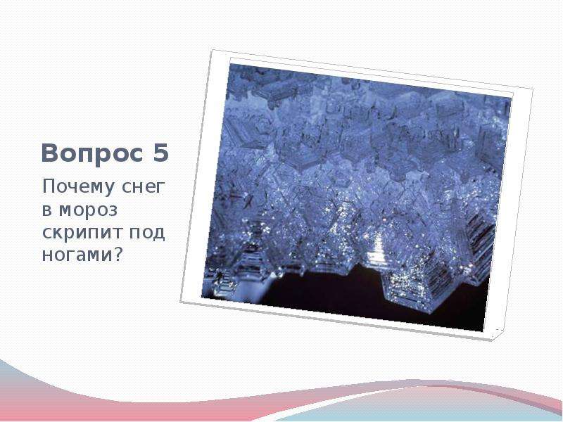 Мороз под ногами скрипит снег. Почему скрипит снег под ногами. Почему в Мороз снег скрипит под ногами. Почему снег хрустит под ногами для детей. Почему зимой снег хрустит под ногами.