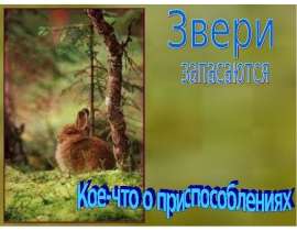 Звери запасаются - презентация к уроку Окружающий мир