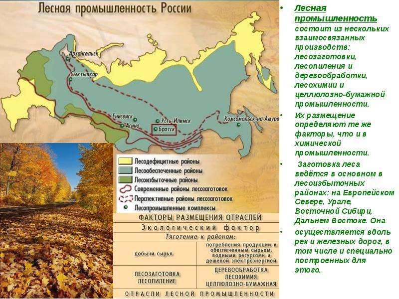 География лесной промышленности. Центры целлюлозно бумажной промышленности в Западной Сибири. Лесная промышленность лесохимия центры. Крупные центры деревообрабатывающей промышленности. Центры Лесной и деревообрабатывающей промышленности.