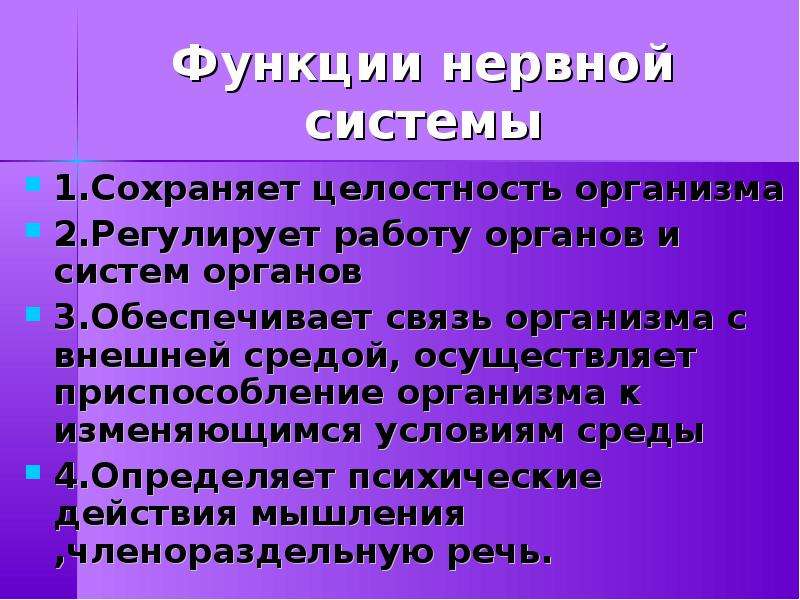 Значение нервной системы. Вывод о нервной системе организма. Нервная система, обеспечивающая связь организма с внешней средой-это. Значение нервной системы для организма кратко. Рассказ на тему значение нервной системы для организма.