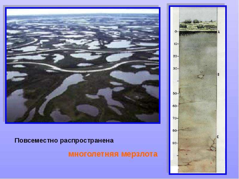 Природные зоны карского моря. Повсеместно распространена многолетняя мерзлота. Многолетняя мерзлота природная зона. Мало тепла Заболоченные почвы многолетняя мерзлота. Факторы заболоченности тундры.