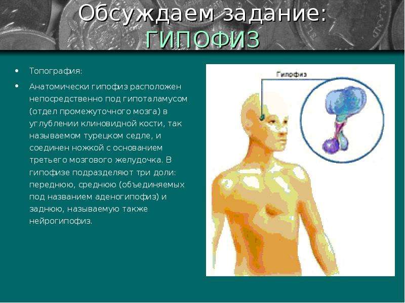 Влияние гормонов на рост и развитие человека проект по биологии 8 класс