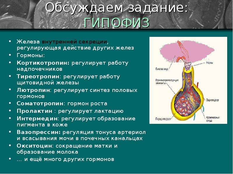 Гормоны жизни проект по биологии 8 класс